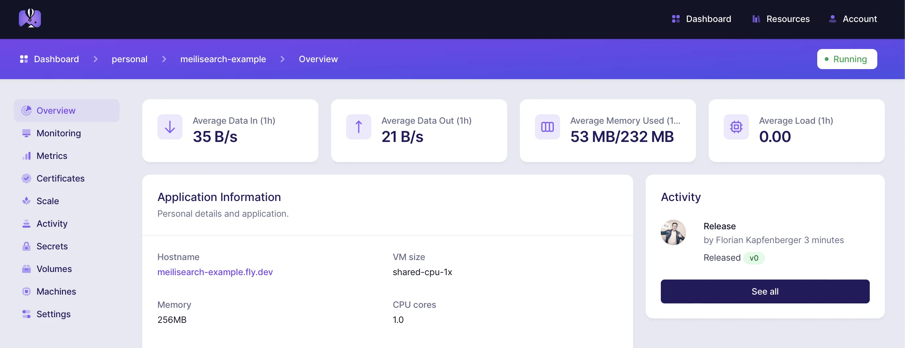 Fly.io Dashboard of the created app after it was deployed